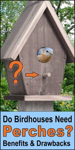 why do bird houses need perches